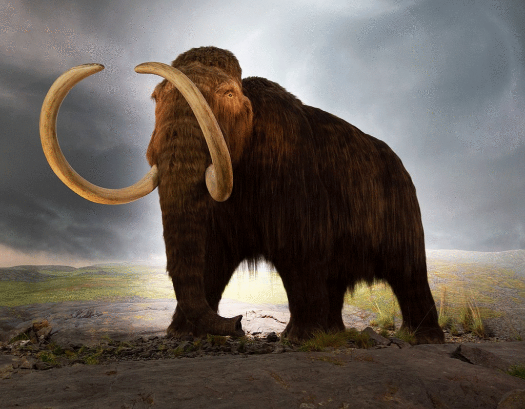 La imagen tiene un atributo ALT vacío; su nombre de archivo es mamuth-animales-extintos-1024x798.gif