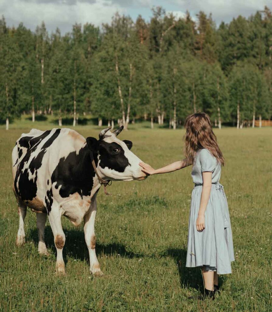 Significado espiritual de soñar con una vaca. 